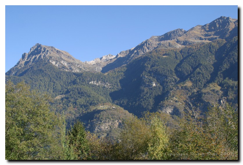 IMG_3511
